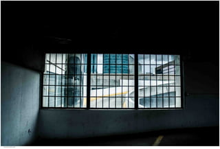 Window View 22.jpg
Soma Peruzzo Endless Learning
 