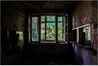 Window View 23.jpg
Soma Peruzzo Endless Learning
 