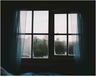 Window View 26.jpg
Soma Peruzzo Endless Learning
 