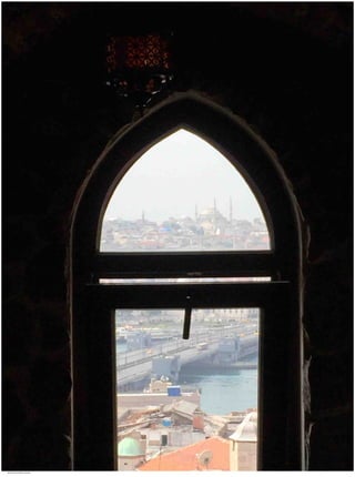 Window View 27.jpg
Soma Peruzzo Endless Learning
 