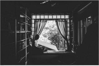 Window View 28.jpg
Soma Peruzzo Endless Learning
 