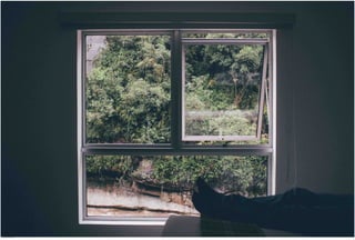 Window View 35.jpg
Soma Peruzzo Endless Learning
 