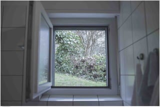 Window View 38.jpg
Soma Peruzzo Endless Learning
 