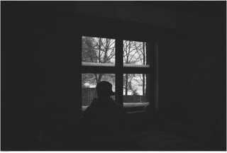 Window View 43.jpg
Soma Peruzzo Endless Learning
 