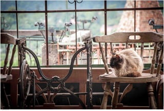 Window View 07.jpg
Soma Peruzzo Endless Learning
 