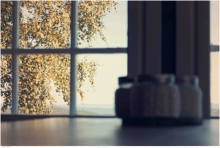 Window View 09.jpg
Soma Peruzzo Endless Learning
 