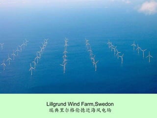 Lillgrund Wind Farm,Swedon瑞典里尔格伦德近海风电场