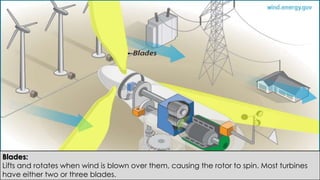 Blades:
Lifts and rotates when wind is blown over them, causing the rotor to spin. Most turbines
have either two or three blades.
 