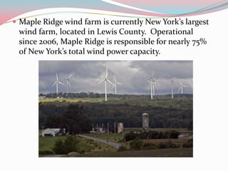  Maple Ridge wind farm is currently New York’s largest
 wind farm, located in Lewis County. Operational
 since 2006, Mapl...