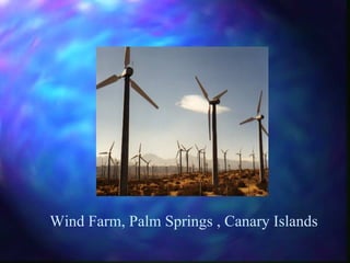Wind Farm, Palm Springs , Canary Islands 