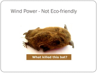 Wind Power - Not Eco-friendly
 