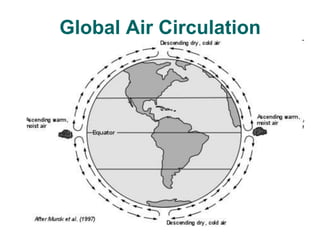 Barometric TendencyUsed for short-term weather predictions (several hours ahead)1) Falling – approach of low pressure (clouds)