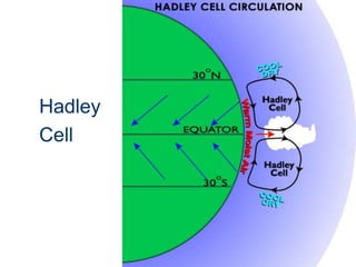 Global Pressure ZonesEquatorial Low (0o)- hot humid air rises & cools adiabaticallyproduces clouds & ppt.Ex:  Tropical rain forests (Amazon & Congo)