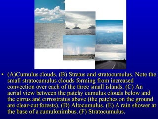 • (A)Cumulus clouds. (B) Stratus and stratocumulus. Note the
small stratocumulus clouds forming from increased
convection over each of the three small islands. (C) An
aerial view between the patchy cumulus clouds below and
the cirrus and cirrostratus above (the patches on the ground
are clear-cut forests). (D) Altocumulus. (E) A rain shower at
the base of a cumulonimbus. (F) Stratocumulus.
 
