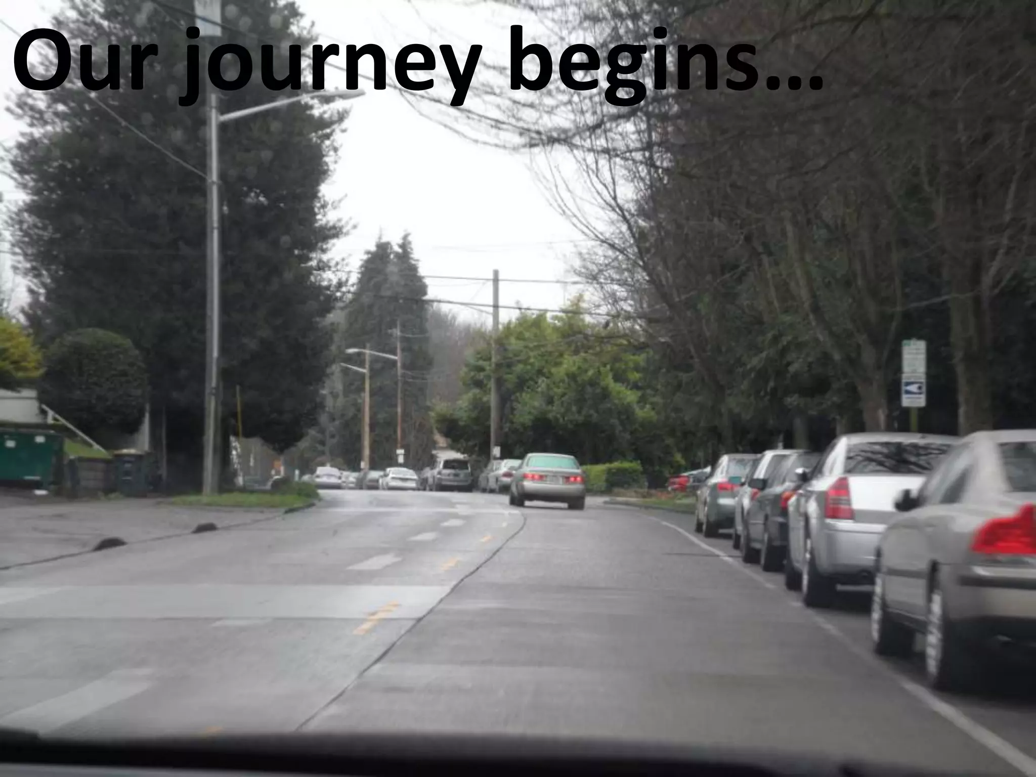  26% African American