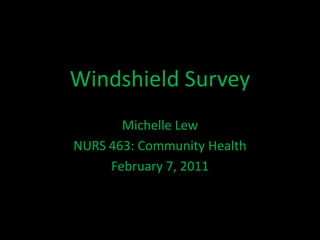 Windshield Survey Michelle Lew NURS 463: Community Health February 7, 2011 