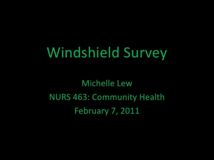 what is a windshield survey