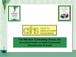 The Windsor Consulting Group, Inc.
Occupational Health and Safety Sustainability
Global Business Strategies

 
