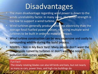 Disadvantages
• The main disadvantage regarding wind power is down to the
winds unreliability factor. In many areas, the winds strength is
too low to support a wind turbine.
• Wind turbines generally produce allot less electricity than the
average fossil fuelled power station, requiring multiple wind
turbines to be built in order to make an impact.
• Wind turbine construction can be very expensive and costly to
surrounding wildlife during the build process.
• NIMBYs – Not In My Back Yard! Many people don’t want the
countryside ruined by turbines or don’t want the noise
pollution that comes with them.
Fun Fact!
The slowly rotating blades can also kill birds and bats, but not nearly
as many as cars, power lines, and high-rise buildings do.
 