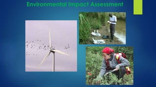 Environmental Impact Assessment
 