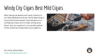 Windy City Cigars Best Mild Cigars
After being harvested and cured, tobacco is
not fully stabilized and can not be kept lo...