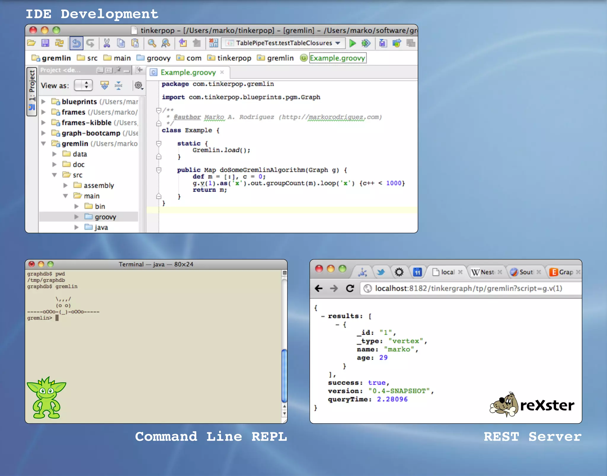 IDE Development




                                    reXster
            Command Line REPL   REST Server
 
