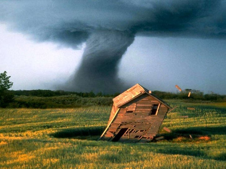Windy day