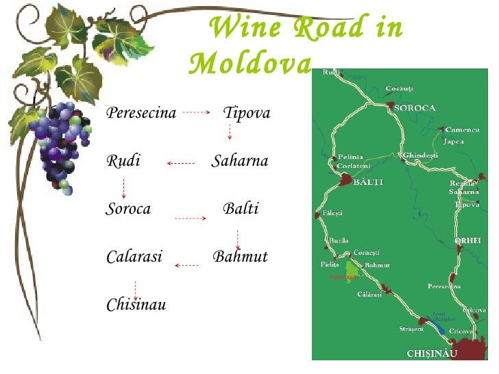 Moldova Wine Industry