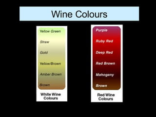Wine Colours                             