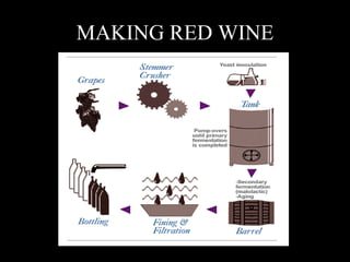 MAKING RED WINE 