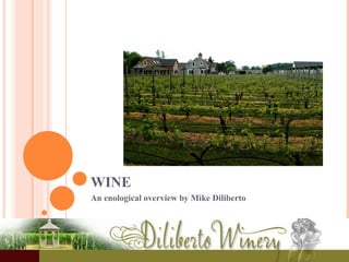 WINE  An enological overview by Mike Diliberto 