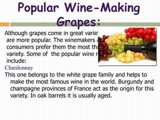 Popular Wine-Making
            Grapes:
Although grapes come in great variety some of them
 are more popular. The winemakers as well as
 consumers prefer them the most than any other
 variety. Some of the popular wine making grapes
 include:
Chardonnay
This one belongs to the white grape family and helps to
   make the most famous wine in the world. Burgundy and
   champagne provinces of France act as the origin for this
   variety. In oak barrels it is usually aged.
 