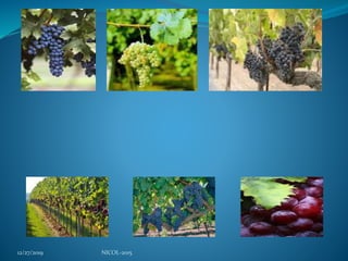 12/27/2019 NICOL-2015
 