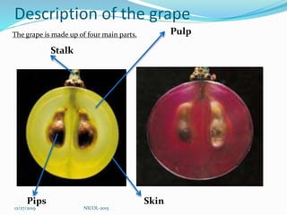 Description of the grape
Stalk
Pulp
Pips Skin
The grape is made up of four main parts.
12/27/2019 NICOL-2015
 