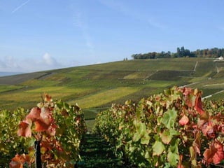 12/27/2019 NICOL-2015
 