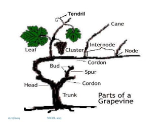 12/27/2019 NICOL-2015
 