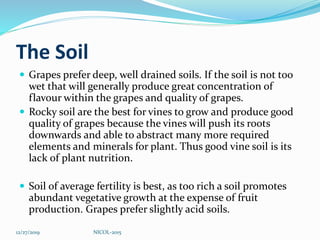 The Soil
 Grapes prefer deep, well drained soils. If the soil is not too
wet that will generally produce great concentration of
flavour within the grapes and quality of grapes.
 Rocky soil are the best for vines to grow and produce good
quality of grapes because the vines will push its roots
downwards and able to abstract many more required
elements and minerals for plant. Thus good vine soil is its
lack of plant nutrition.
 Soil of average fertility is best, as too rich a soil promotes
abundant vegetative growth at the expense of fruit
production. Grapes prefer slightly acid soils.
12/27/2019 NICOL-2015
 