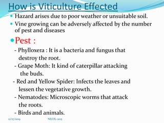 How is Viticulture Effected
 Hazard arises due to poor weather or unsuitable soil.
 Vine growing can be adversely affected by the number
of pest and diseases
Pest :
- Phylloxera : It is a bacteria and fungus that
destroy the root.
- Grape Moth: It kind of caterpillar attacking
the buds.
- Red and Yellow Spider: Infects the leaves and
lessen the vegetative growth.
- Nematodes: Microscopic worms that attack
the roots.
- Birds and animals.
12/27/2019 NICOL-2015
 