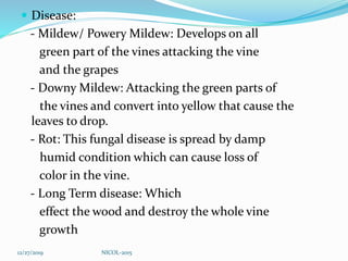 Disease:
- Mildew/ Powery Mildew: Develops on all
green part of the vines attacking the vine
and the grapes
- Downy Mildew: Attacking the green parts of
the vines and convert into yellow that cause the
leaves to drop.
- Rot: This fungal disease is spread by damp
humid condition which can cause loss of
color in the vine.
- Long Term disease: Which
effect the wood and destroy the whole vine
growth
12/27/2019 NICOL-2015
 