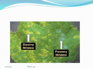 12/27/2019 NICOL-2015
 