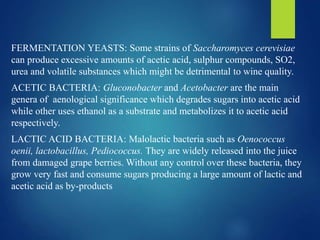 FERMENTATION YEASTS: Some strains of Saccharomyces cerevisiae
can produce excessive amounts of acetic acid, sulphur compounds, SO2,
urea and volatile substances which might be detrimental to wine quality.
ACETIC BACTERIA: Gluconobacter and Acetobacter are the main
genera of aenological significance which degrades sugars into acetic acid
while other uses ethanol as a substrate and metabolizes it to acetic acid
respectively.
LACTIC ACID BACTERIA: Malolactic bacteria such as Oenococcus
oenii, lactobacillus, Pediococcus. They are widely released into the juice
from damaged grape berries. Without any control over these bacteria, they
grow very fast and consume sugars producing a large amount of lactic and
acetic acid as by-products
 