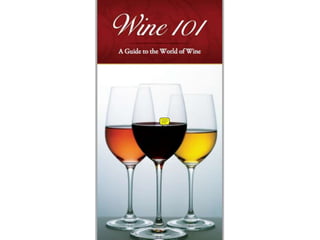 Scott Phinney - Wine 101