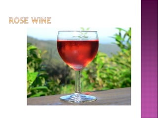 Wine - ENOLOGY 