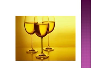 Wine - ENOLOGY 