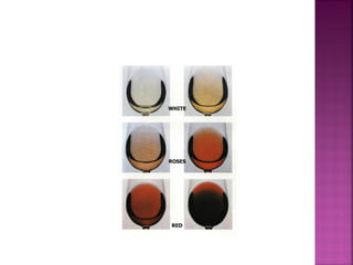 Wine - ENOLOGY 