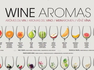 Wine Aromas