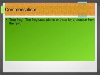 Ecological Interactions - Mutualism, Commensalism &amp; Neutralism | PPT