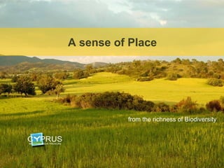A sense of Place: Richness of
    Cyprus Biodiversity
      A sense of Place




                 from the richness of Biodiversity
 