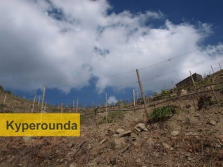 High Altitude wines and not only
           at Kyperounda




Kyperounda
 