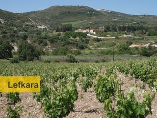 Larnaca Emerging Wine Making
  and Wine tourism region for
 development: lefkara at heart




Lefkara
 